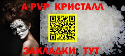 тгк Кингисепп