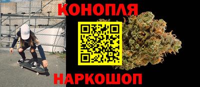 тгк Кингисепп