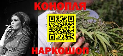 тгк Кингисепп