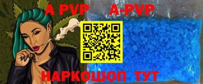 тгк Кингисепп