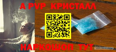 крисы Кимры