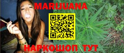 тгк Кингисепп