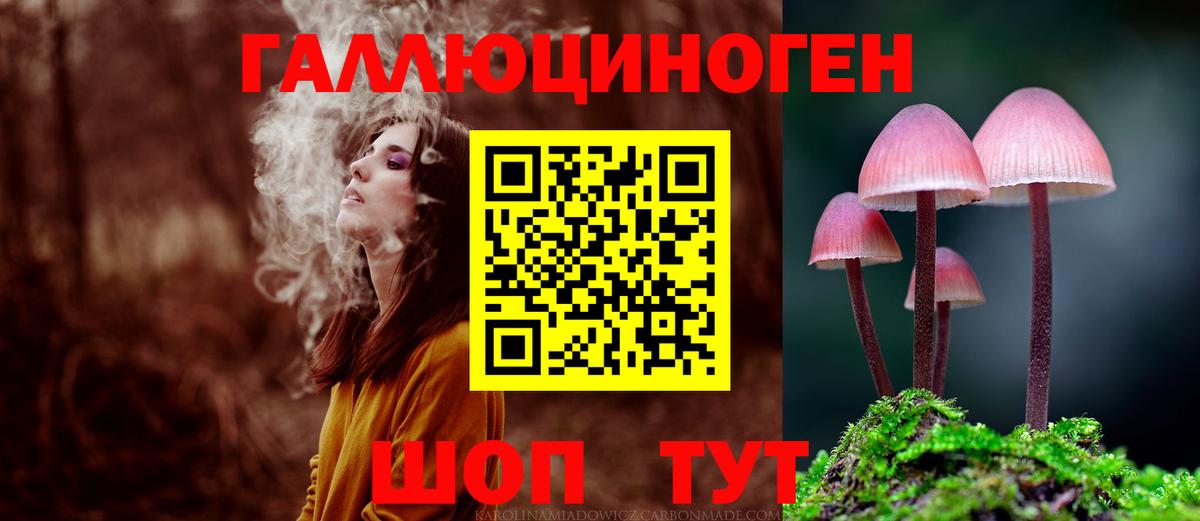 Псилоцибиновые грибы Magic Shrooms  Вход с VPN  Кирово-Чепецк  купить наркотик  Псилоцибиновые грибы GOLDEN TEACHER 